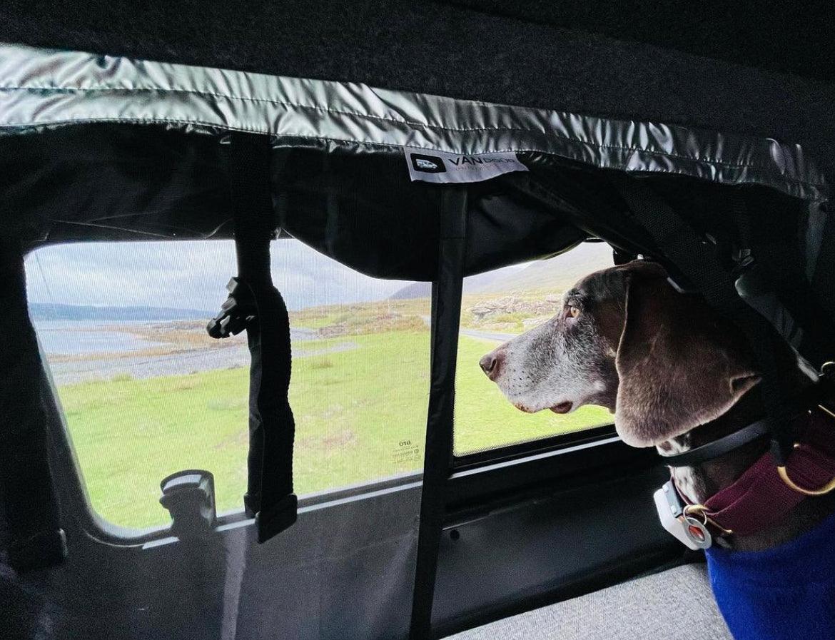 VANdour Mosquito Net Screen Medium to Large Campervans fit. Added Privacy Layer