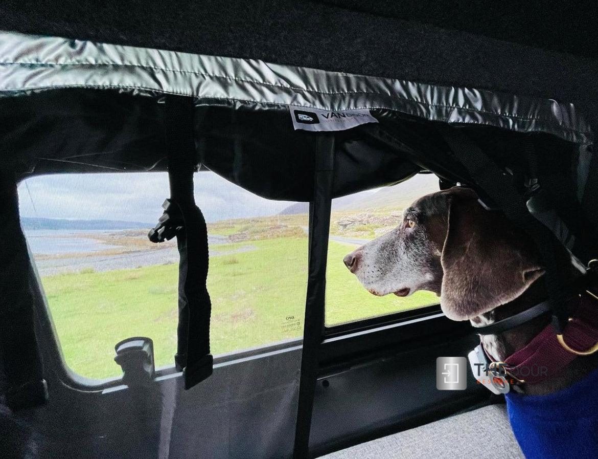 VANdour Mosquito Net Screen - Fits Small Campervans With Added Privacy Layer