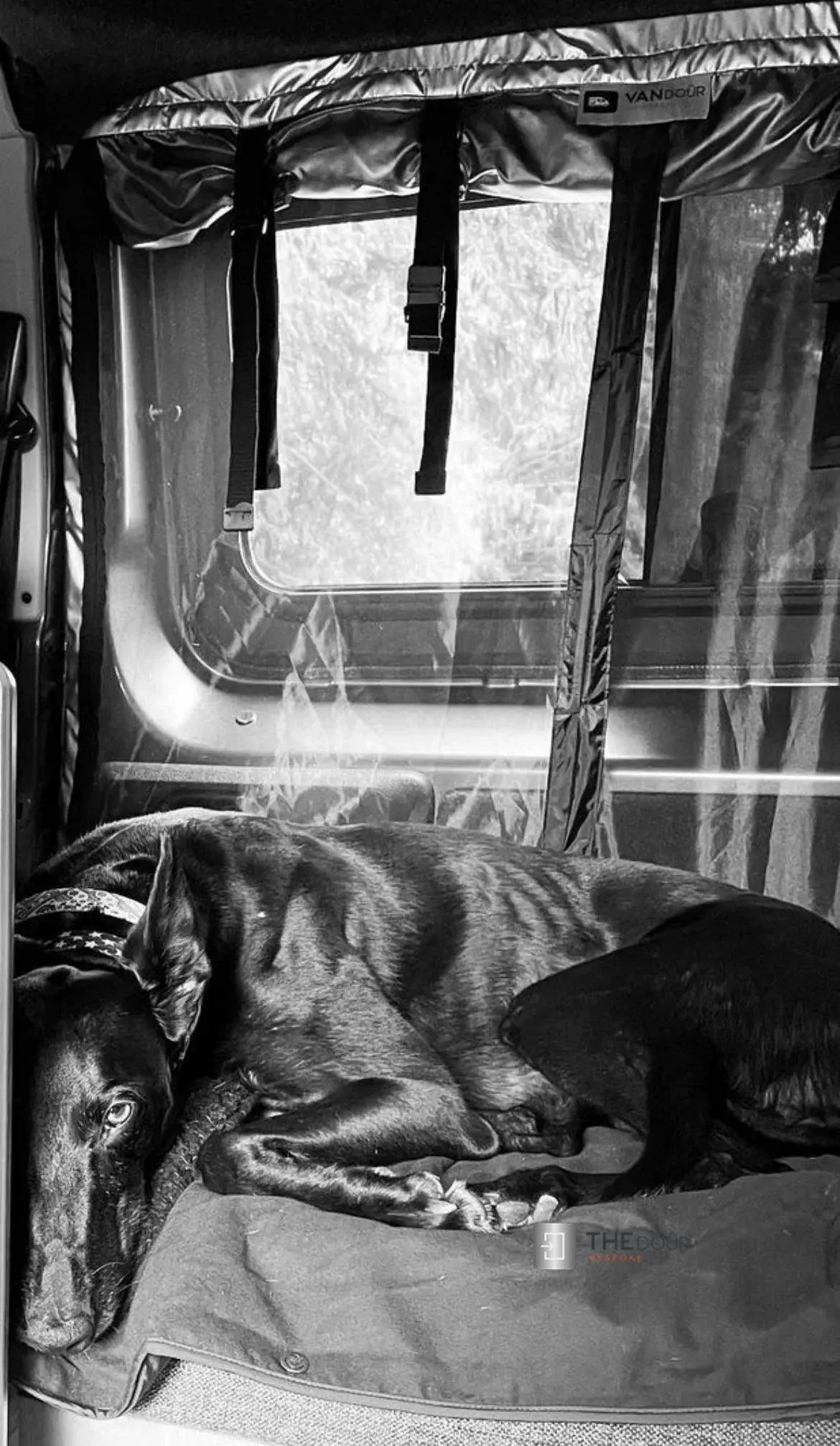 VANdour Mosquito Net Screen - Fits Small Campervans With Added Privacy Layer VANdoûr