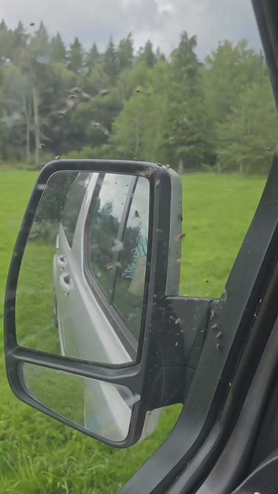 VANdour Mosquito Net Screen Medium to Large Campervans fit. Added Privacy Layer