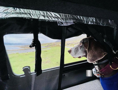 VANdour Mosquito Net Screen - Fits Small Campervans With Added Privacy Layer