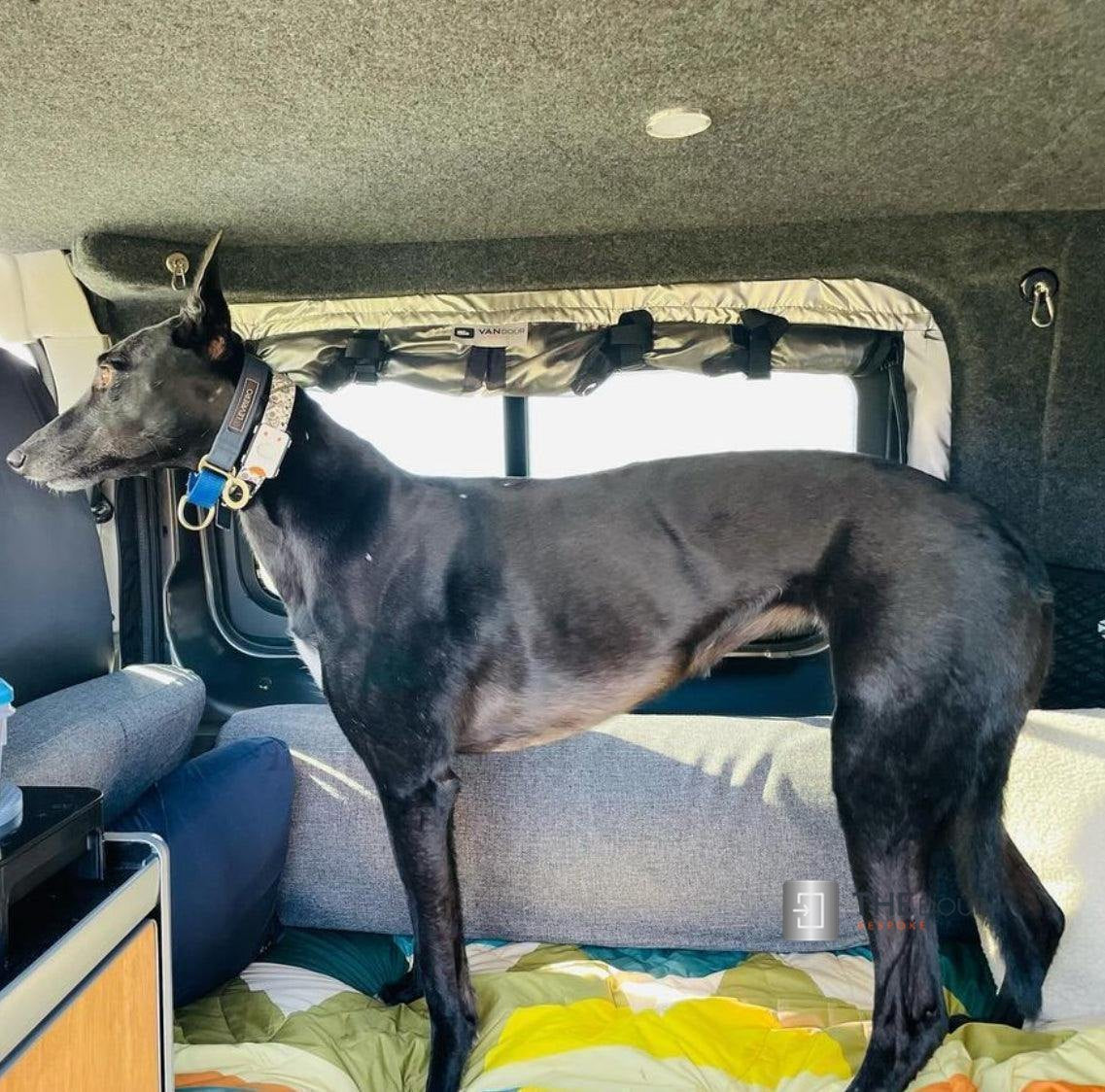 VANdour Mosquito Net Screen - Fits Small Campervans With Added Privacy Layer